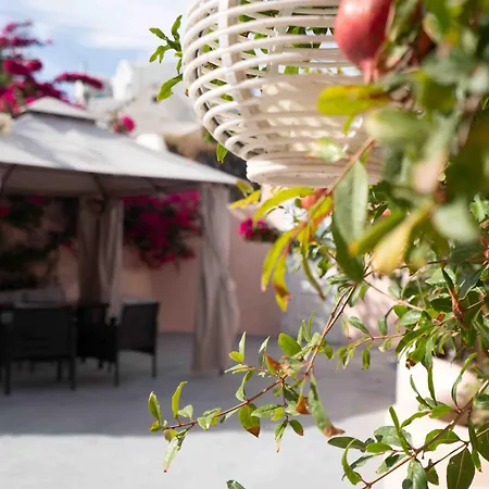 Santorini Oasis- Cave House