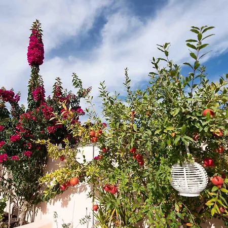 Nyaraló Santorini Oasis- Cave House