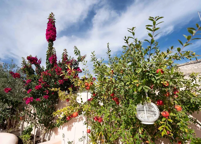 Nyaraló Santorini Oasis- Cave House